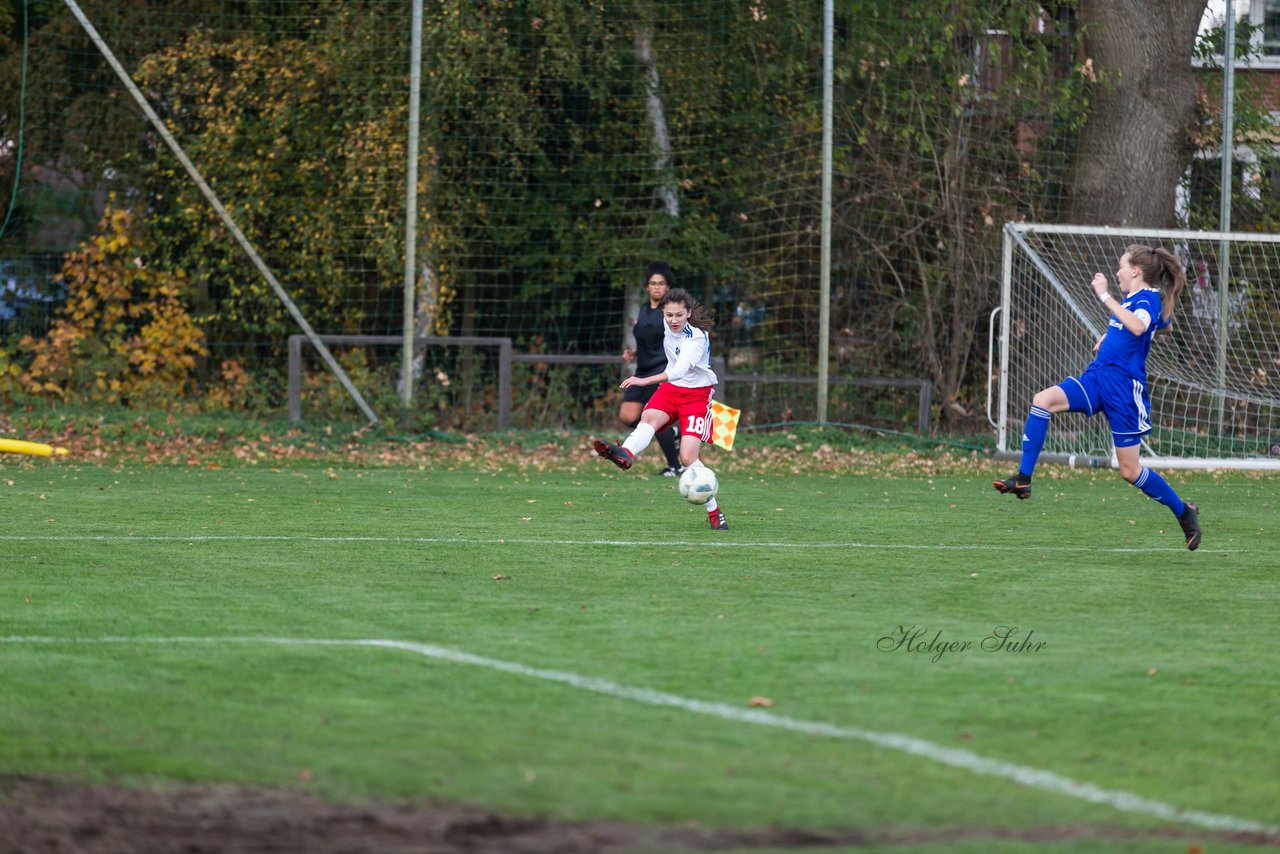 Bild 251 - B-Juniorinnen Hamburger SV - FC Neubrandenburg 04 : Ergebnis: 3:1